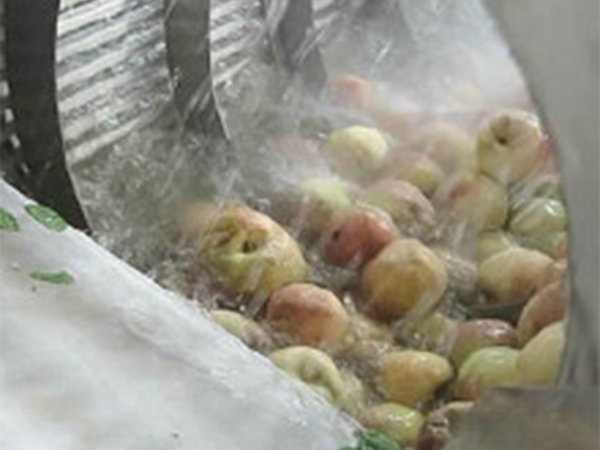 高壓氣泡清洗機(jī)(玉米類(lèi)、果蔬類(lèi)）